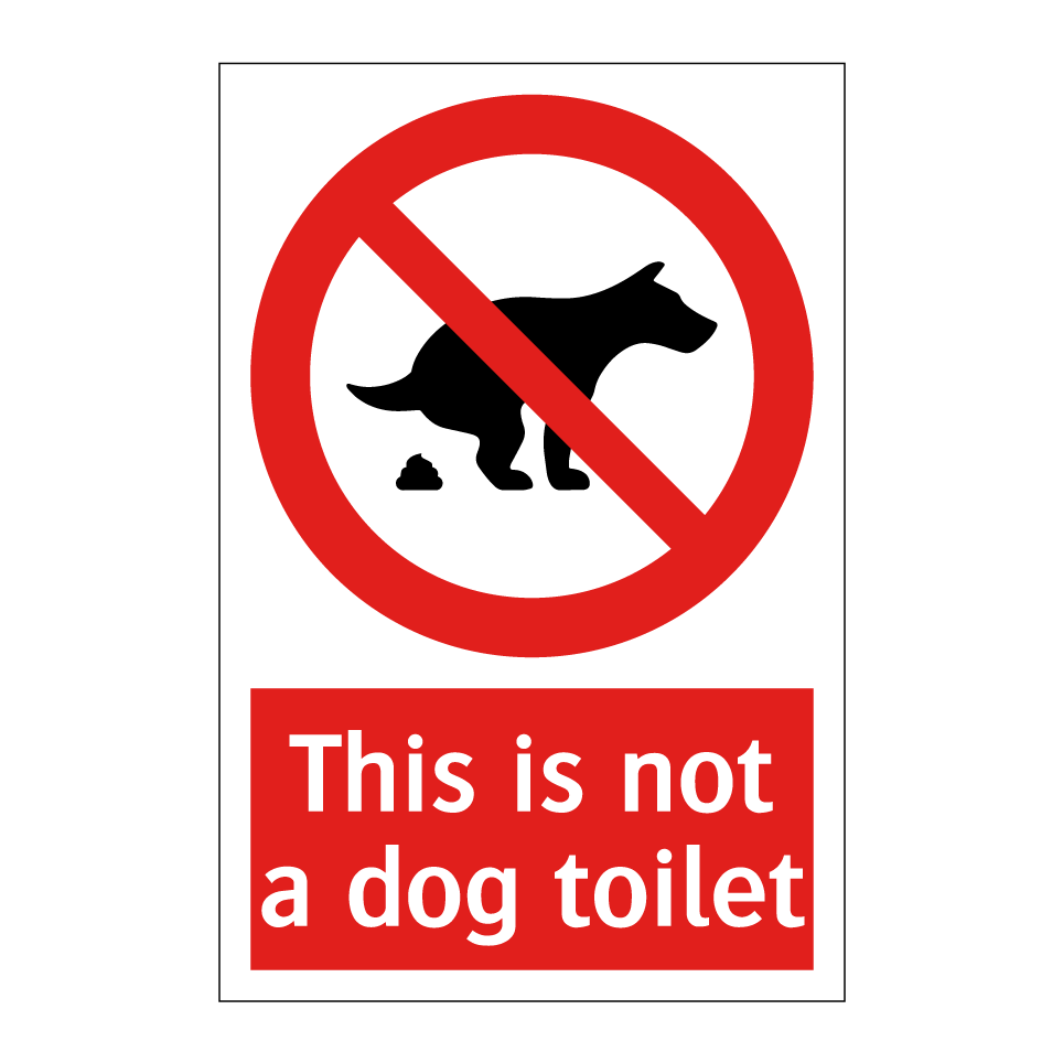 This is not a dog toilet