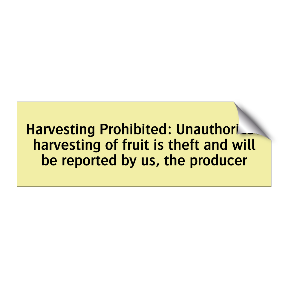 Harvesting Prohibited: Unauthorized harvesting of fruit is theft and will be reported by us, the producer