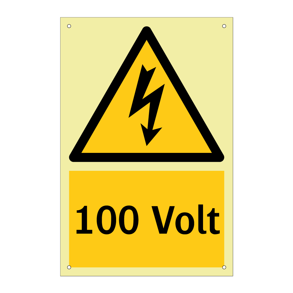 100 Volt