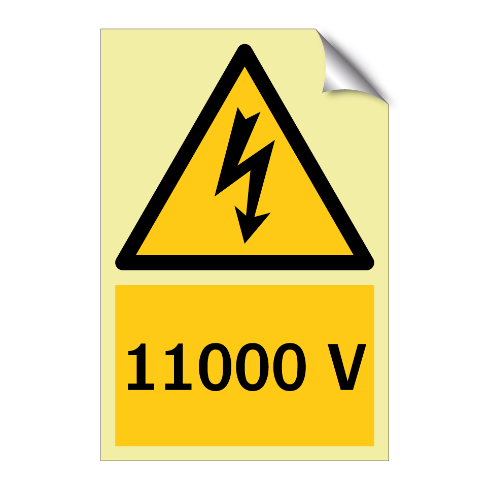 11000 V