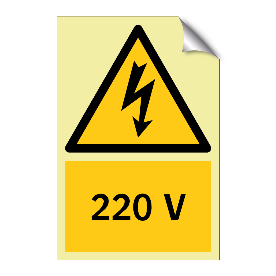 220 V