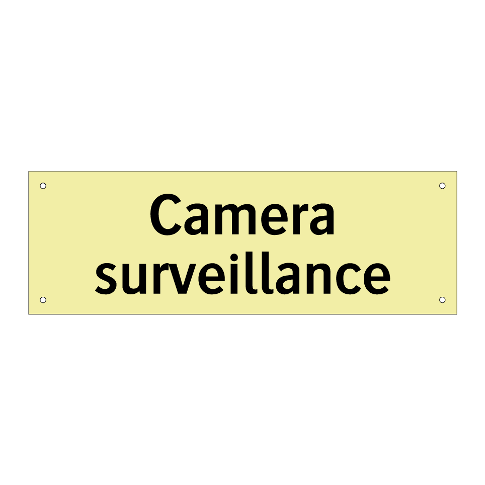Camera surveillance