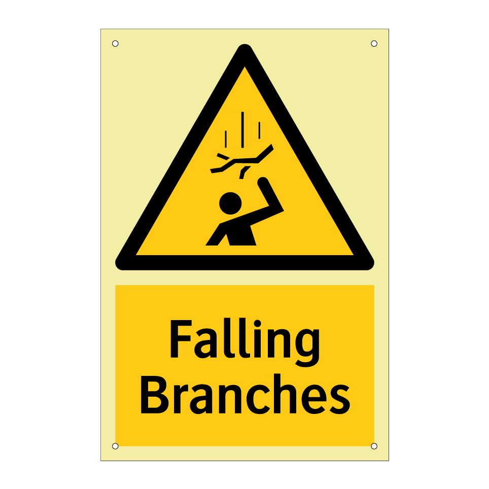 Falling Branches