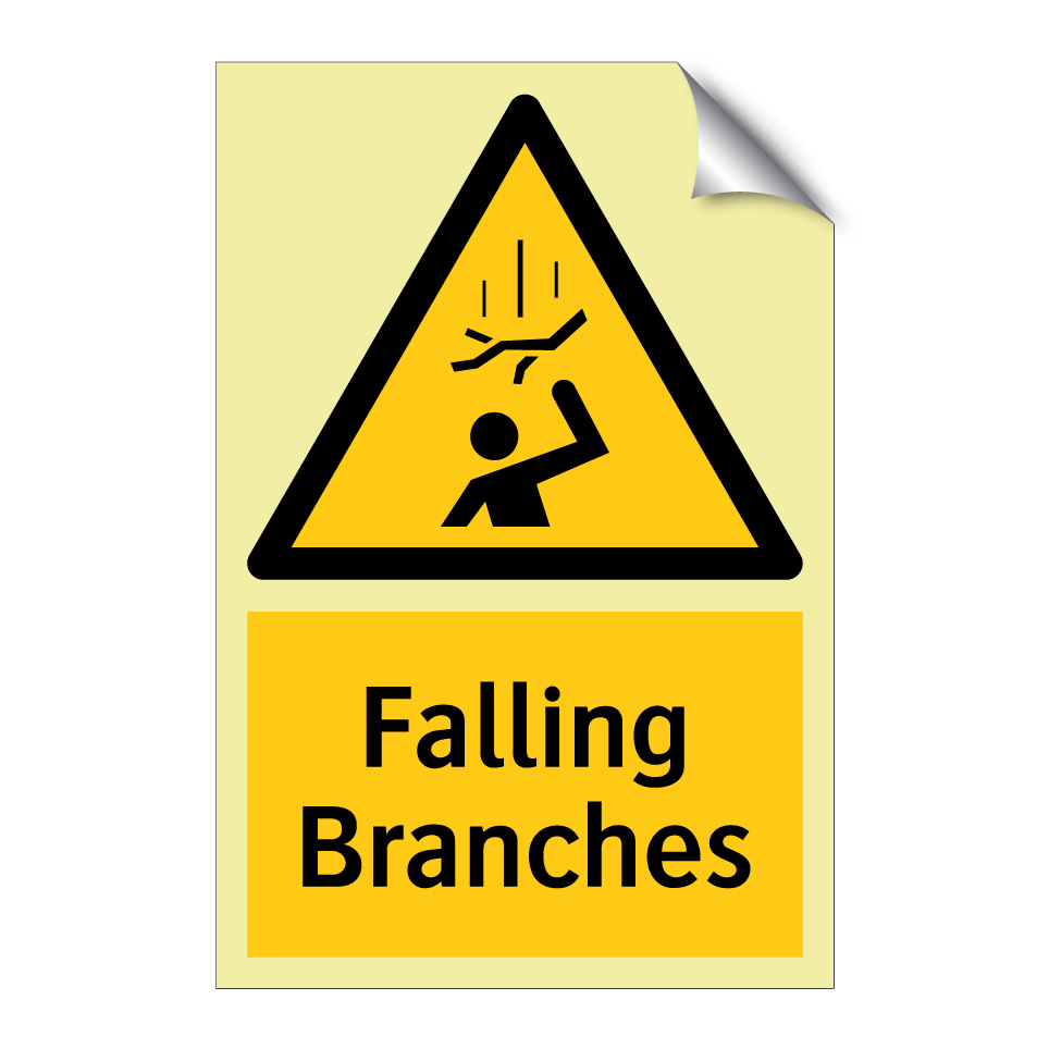 Falling Branches