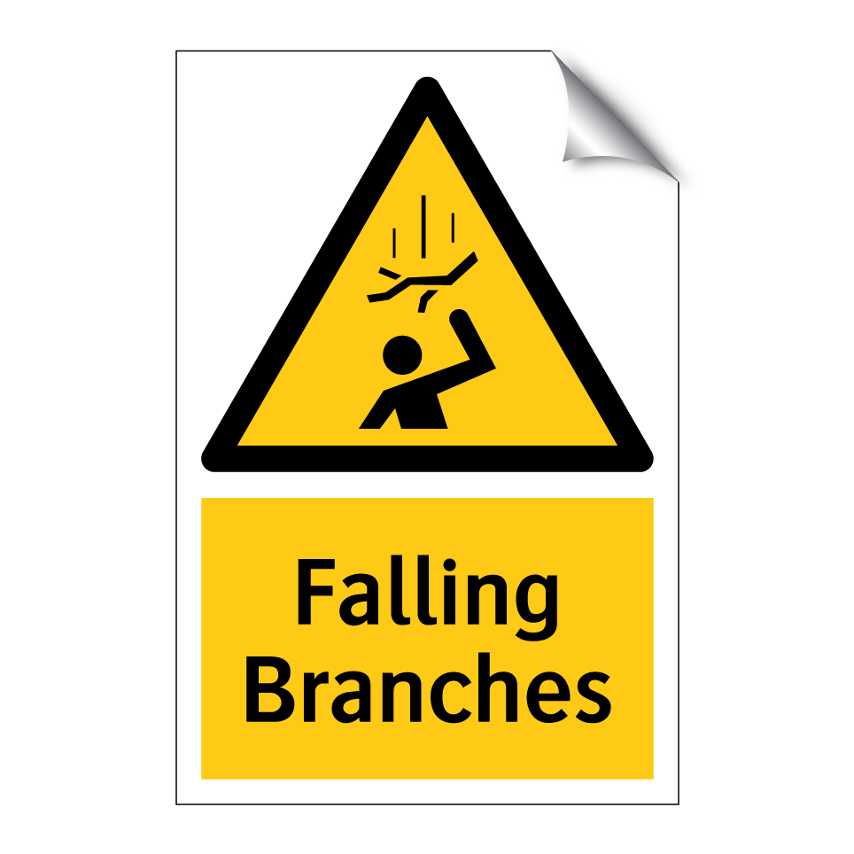 Falling Branches