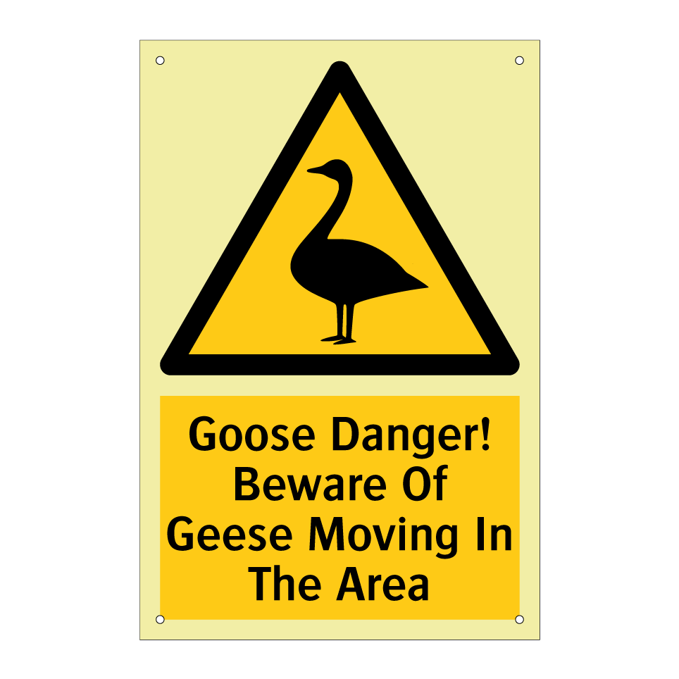 Goose Danger! Beware Of Geese Moving In The Area