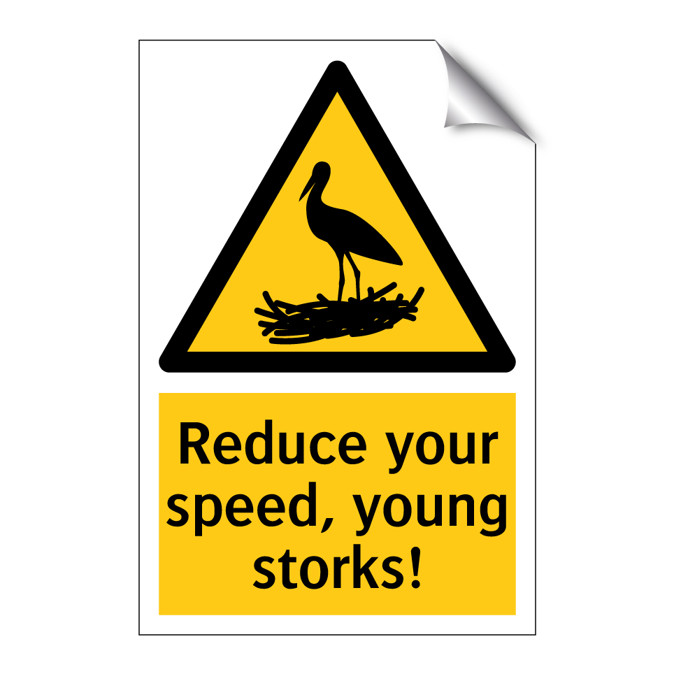 Reduce your speed, young storks!