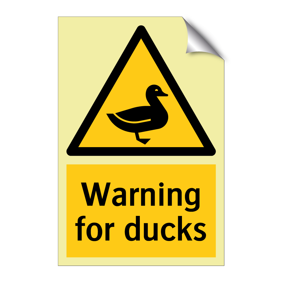 Warning for ducks
