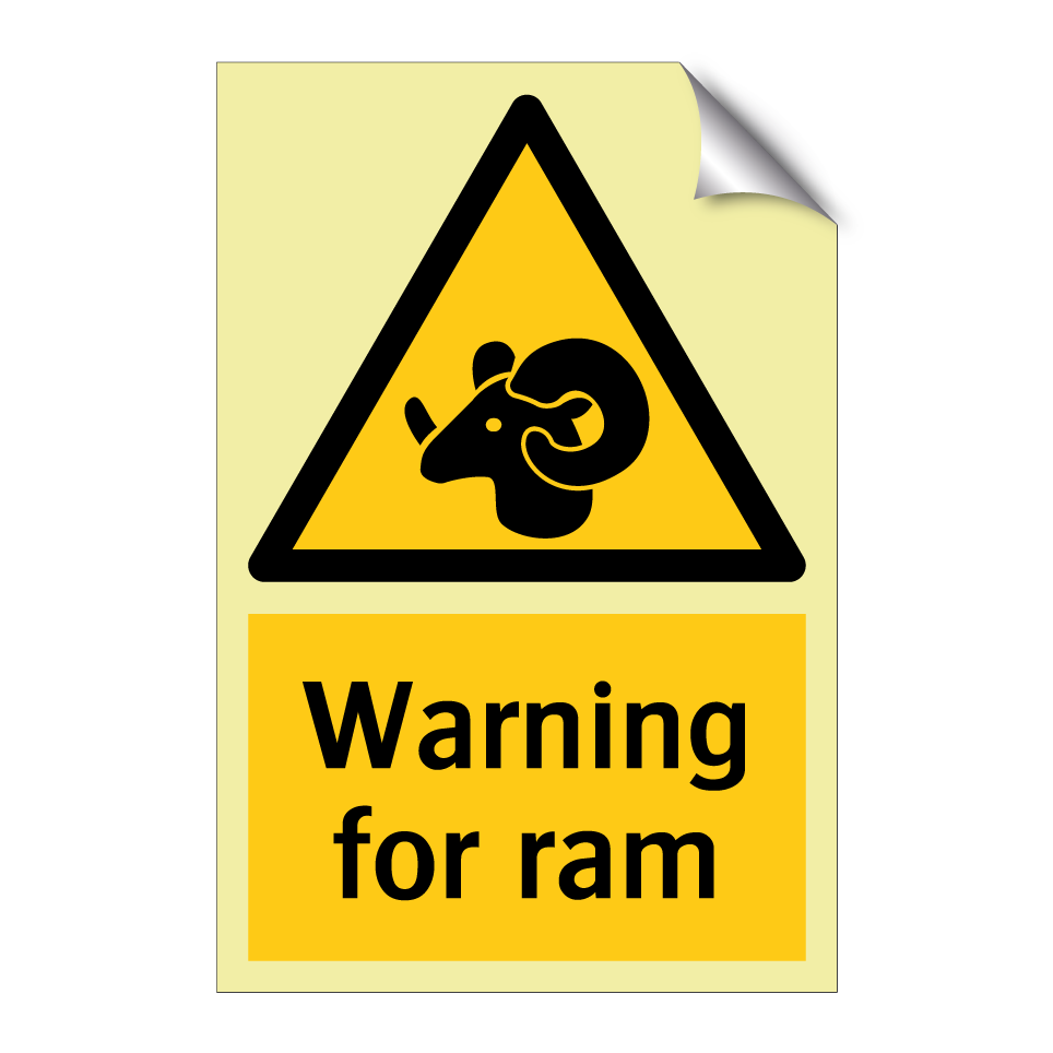 Warning for ram