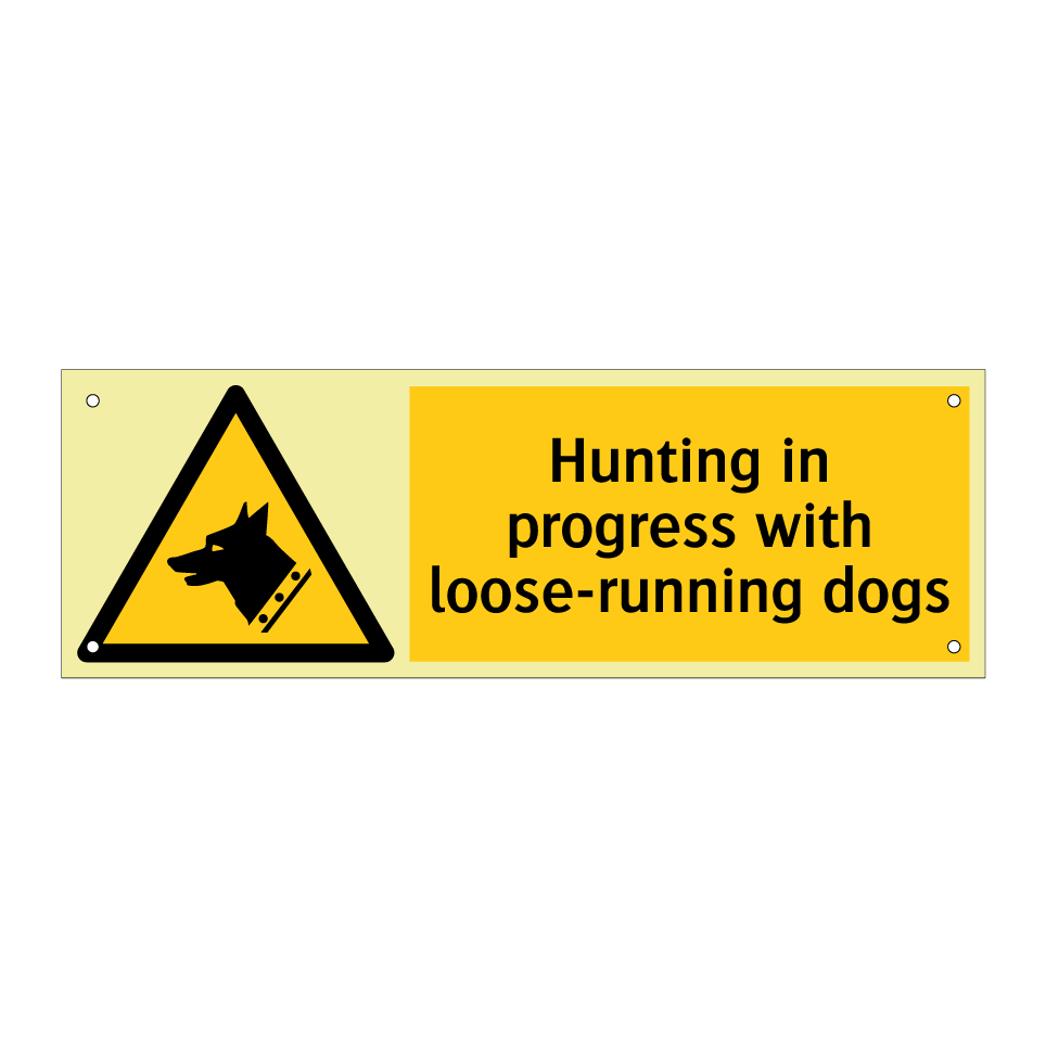 Hunting in progress with loose-running dogs