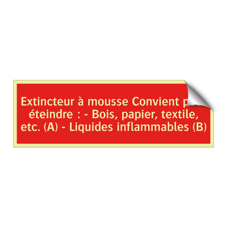 Extincteur à mousse Convient pour éteindre : - Bois, papier, textile, etc. (A) - Liquides inflammables (B)