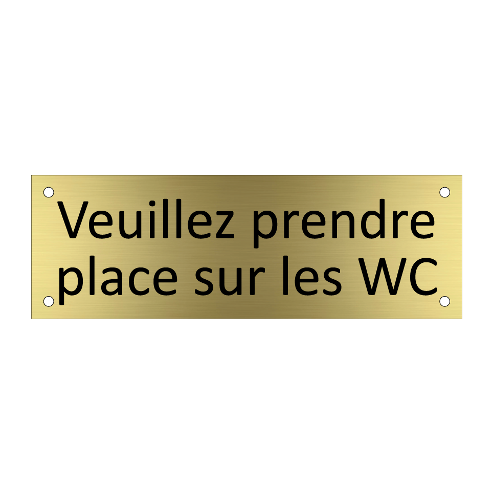 Veuillez prendre place sur les WC