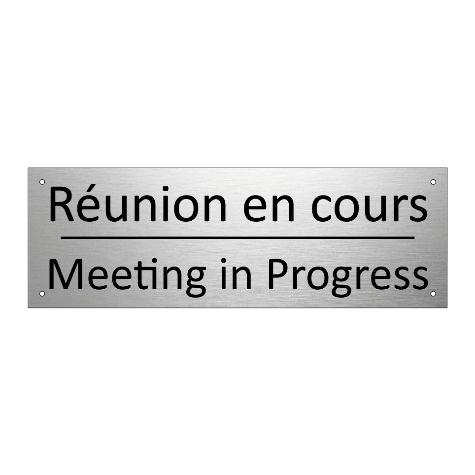 Réunion en cours - Meeting in Progress