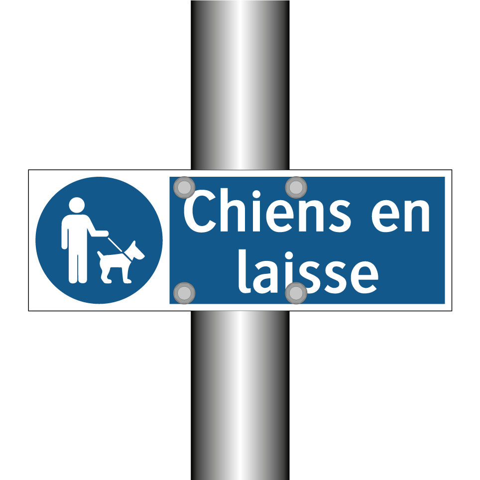 Chiens en laisse