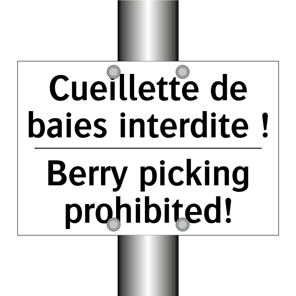 Cueillette de baies interdite /.../ - Berry picking prohibited!