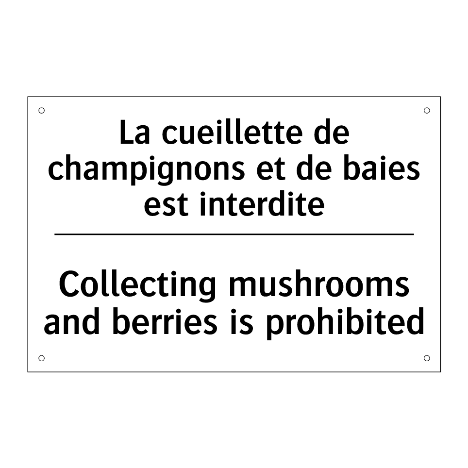 La cueillette de champignons et /.../ - Collecting mushrooms and berries /.../