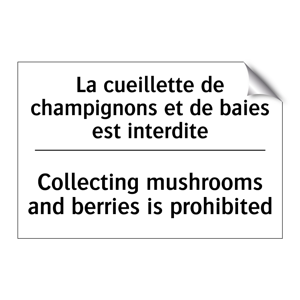 La cueillette de champignons et /.../ - Collecting mushrooms and berries /.../