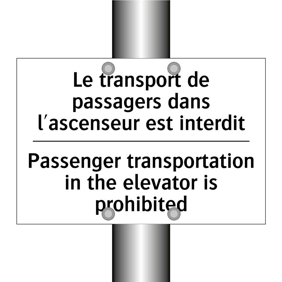 Le transport de passagers dans /.../ - Passenger transportation in the /.../