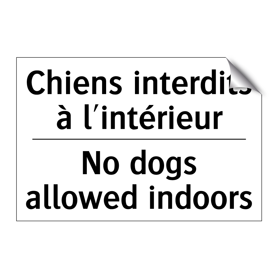 Chiens interdits à l'intérieur - No dogs allowed indoors