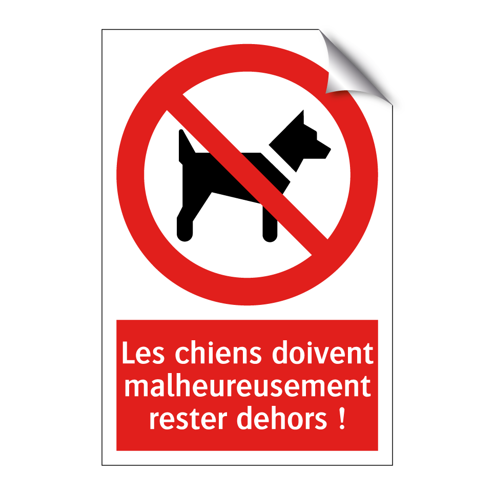 Les chiens doivent malheureusement rester dehors !