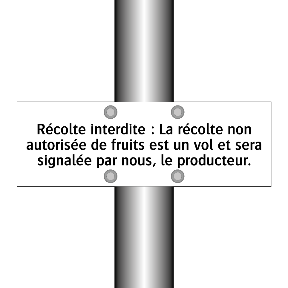 Récolte interdite : La récolte non autorisée de fruits est un vol et sera signalée par nous, le producteur.