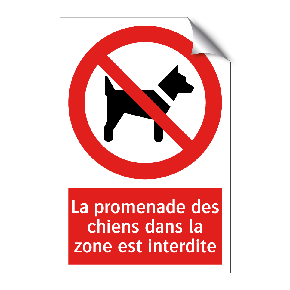 La promenade des chiens dans la zone est interdite