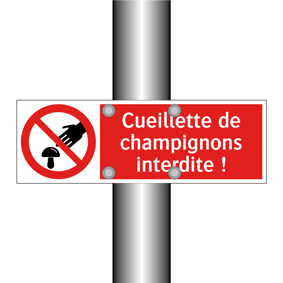 Cueillette de champignons interdite !
