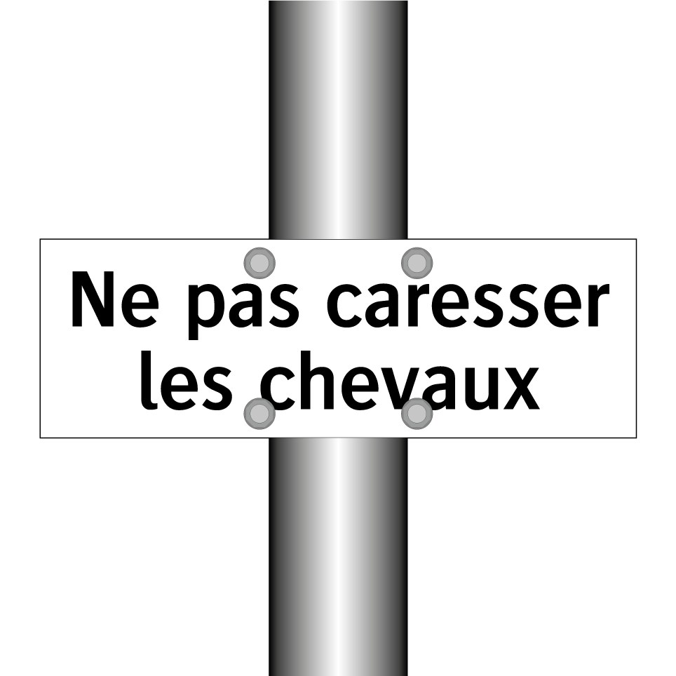Ne pas caresser les chevaux