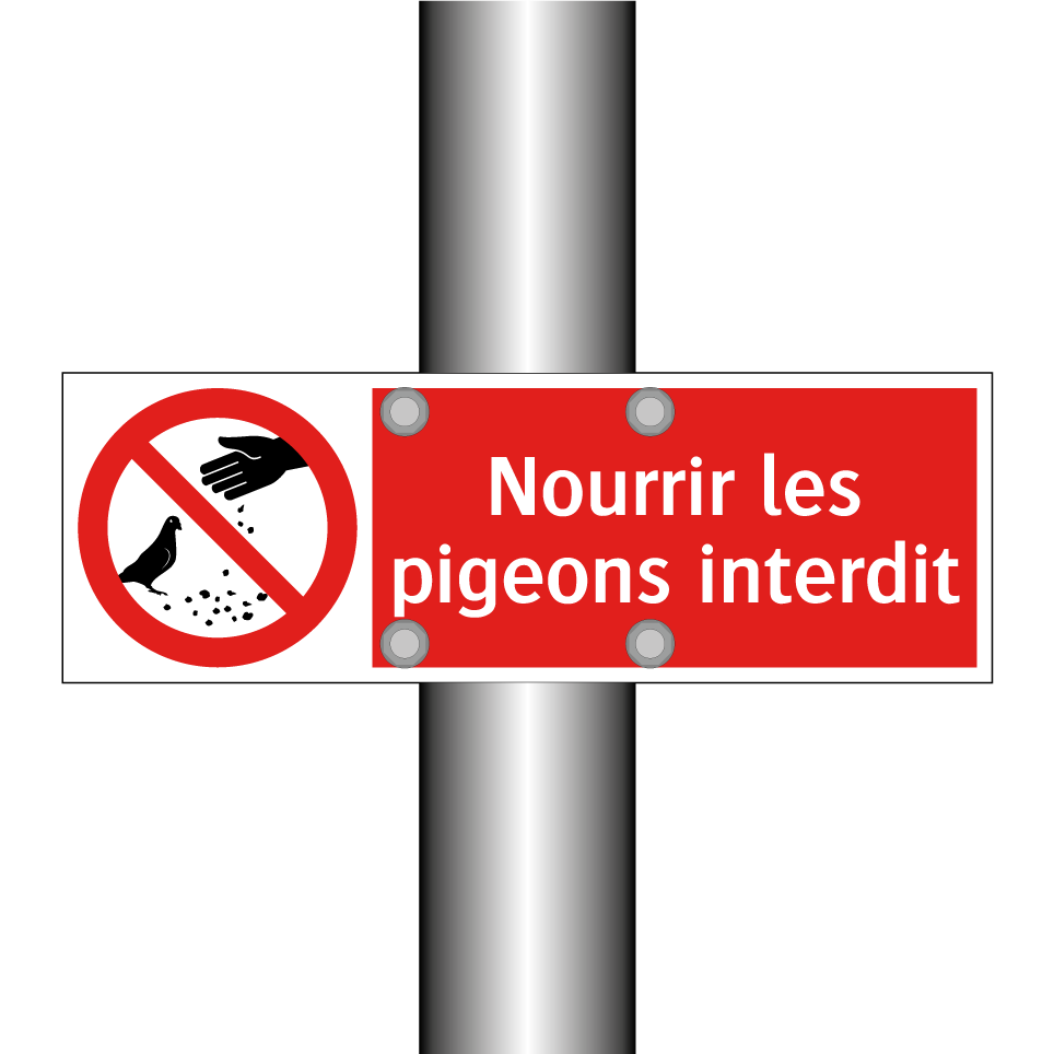 Nourrir les pigeons interdit