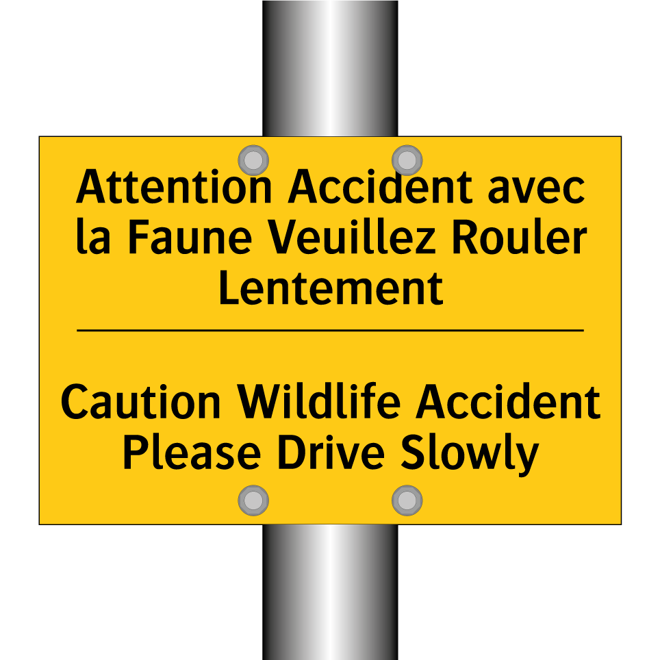 Attention Accident avec la Faune /.../ - Caution Wildlife Accident Please /.../