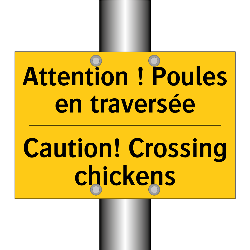 Attention ! Poules en traversée /.../ - Caution! Crossing chickens