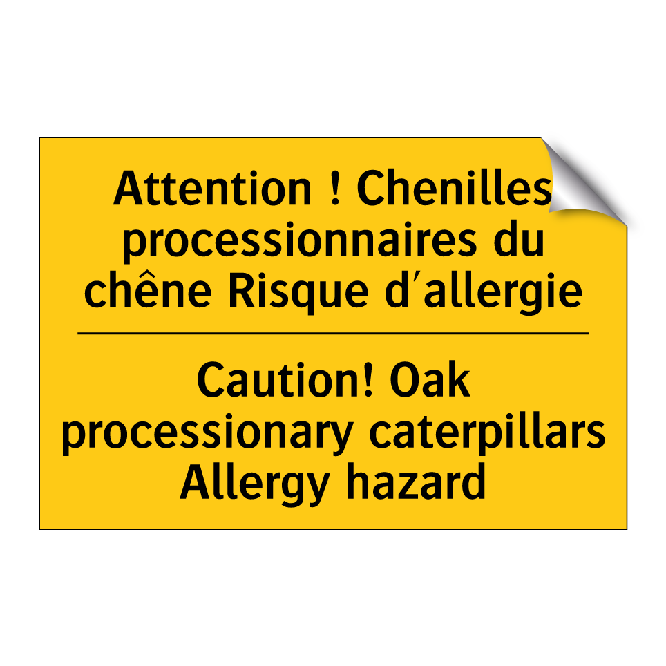 Attention ! Chenilles processionnaires /.../ - Caution! Oak processionary caterpillars /.../