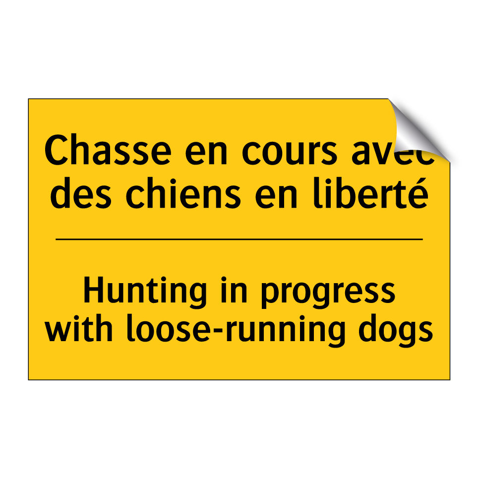 Chasse en cours avec des chiens /.../ - Hunting in progress with loose-running /.../