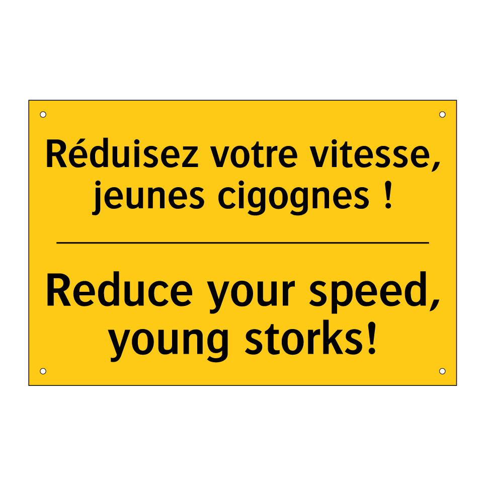 Réduisez votre vitesse, jeunes /.../ - Reduce your speed, young storks! /.../