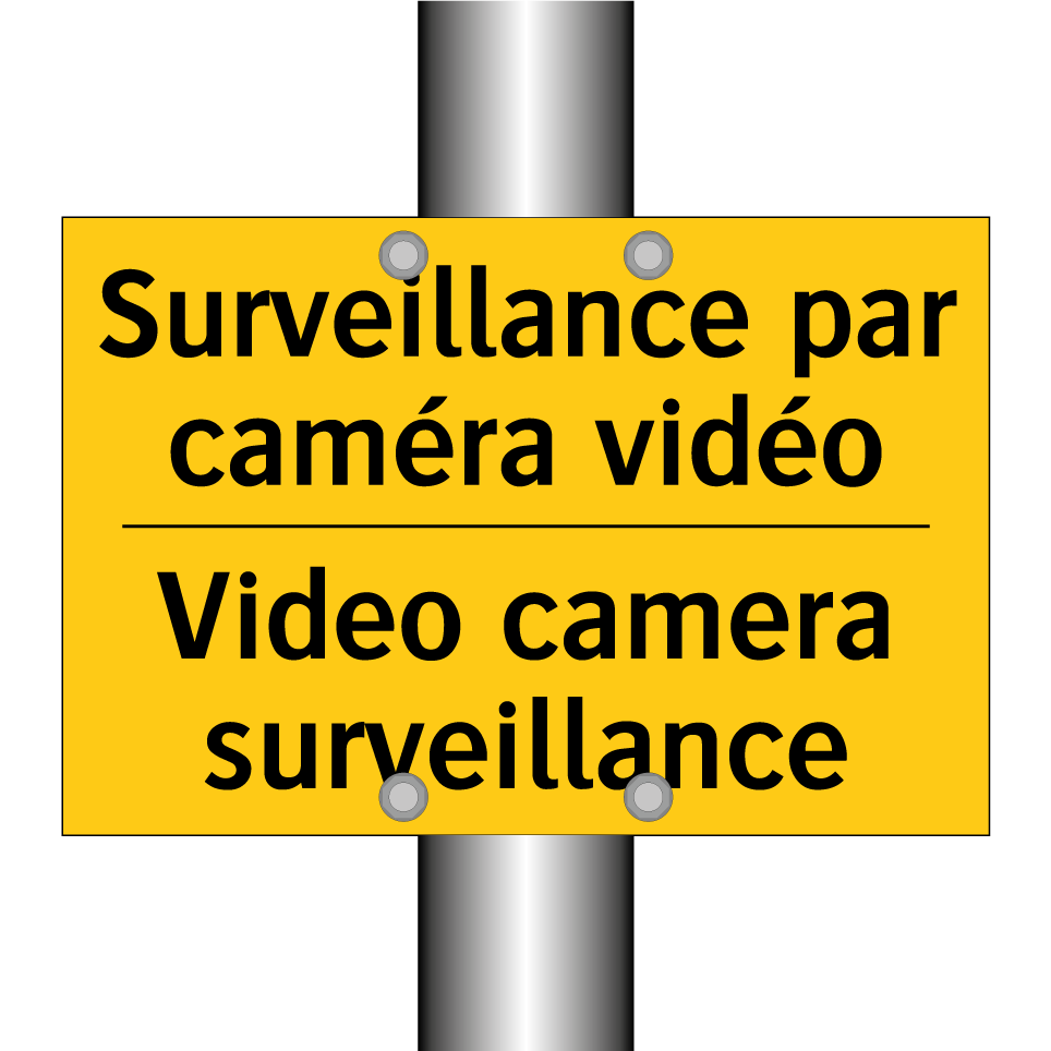 Surveillance par caméra vidéo - Video camera surveillance