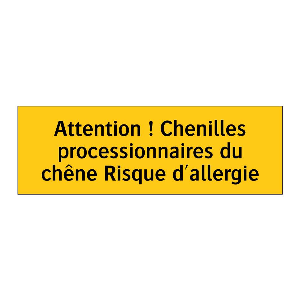 Attention ! Chenilles processionnaires du chêne Risque d'allergie