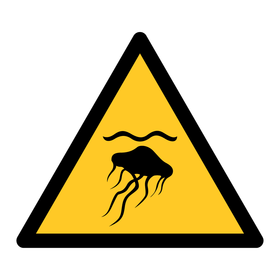 W069 Méduse