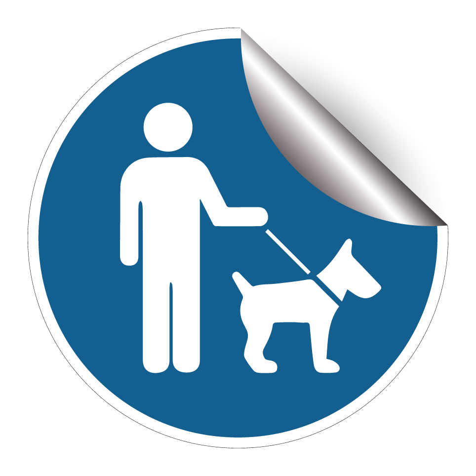 Les chiens doivent être tenus en laisse