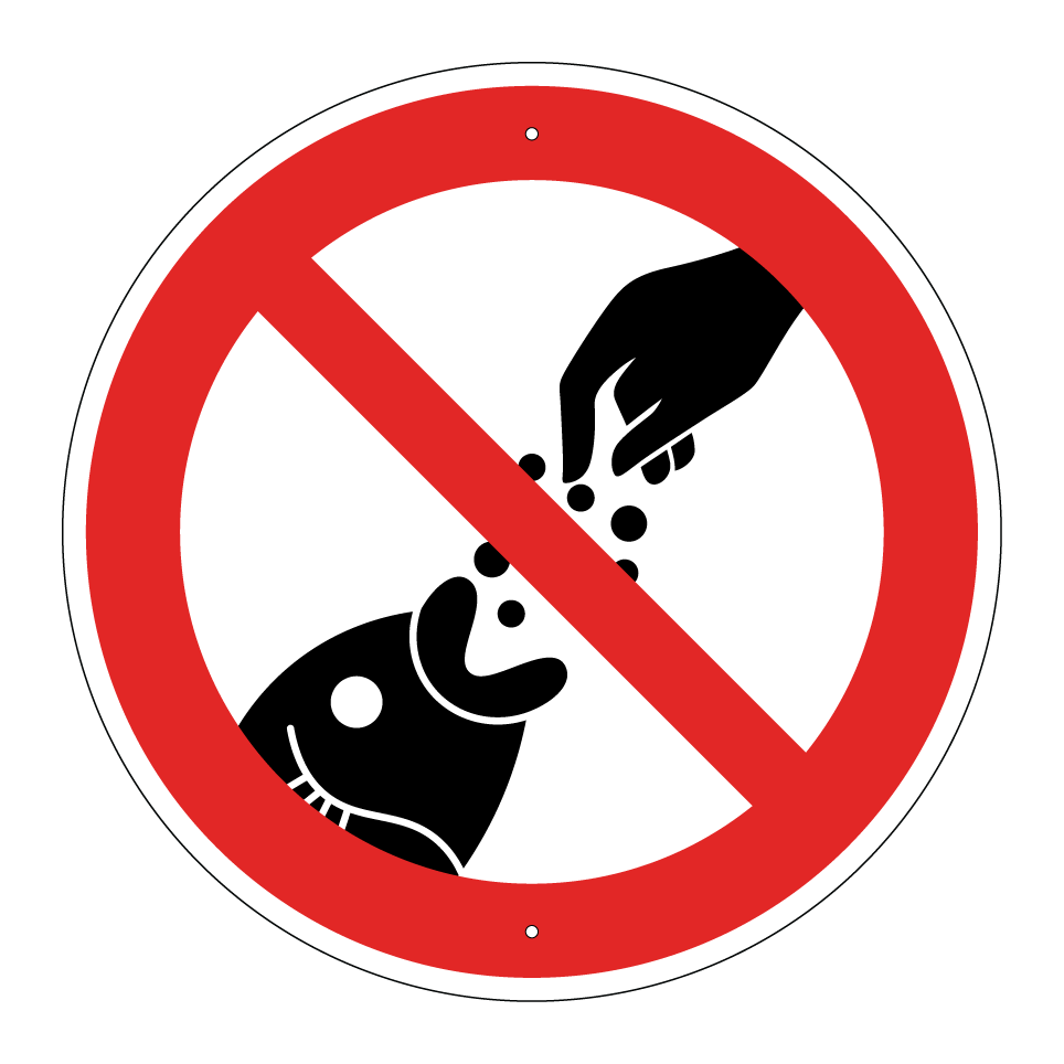 Fische nicht füttern