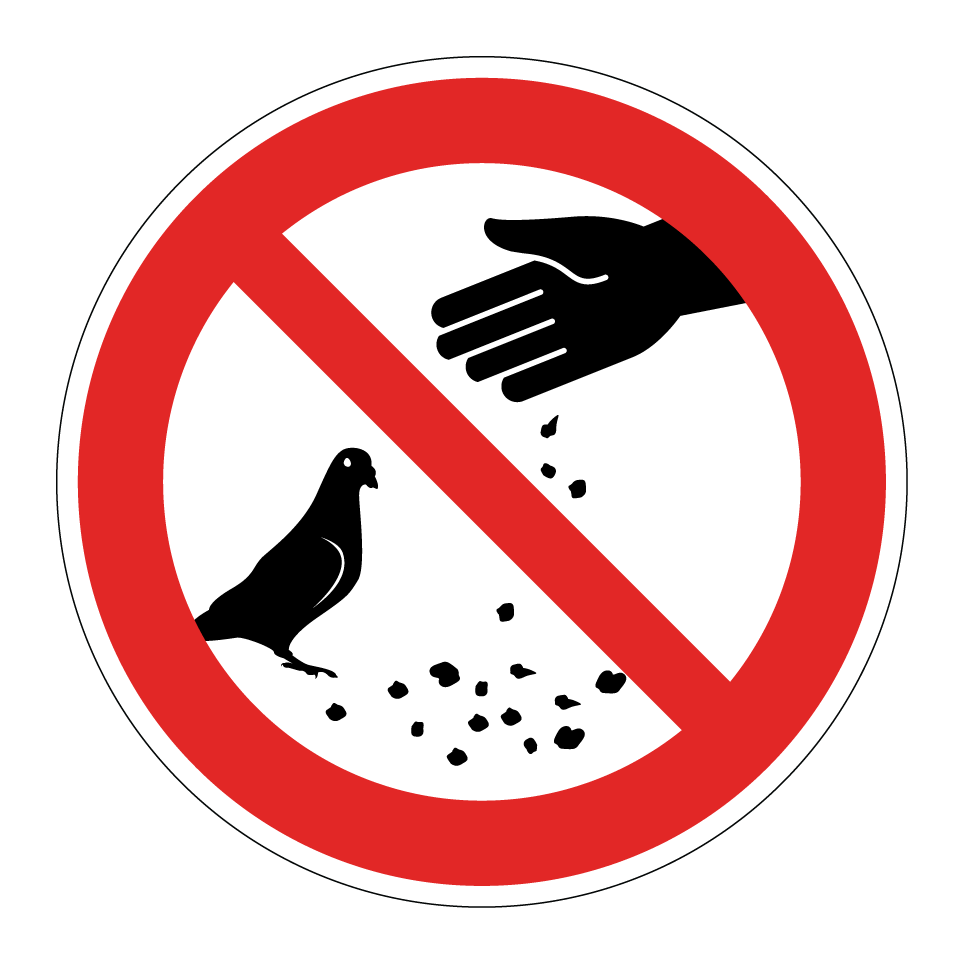 Nourrir les pigeons interdit