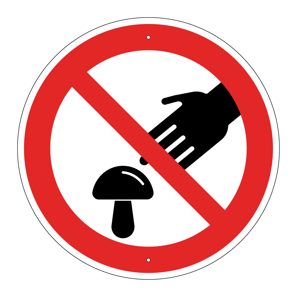 Cueillette de champignons interdite