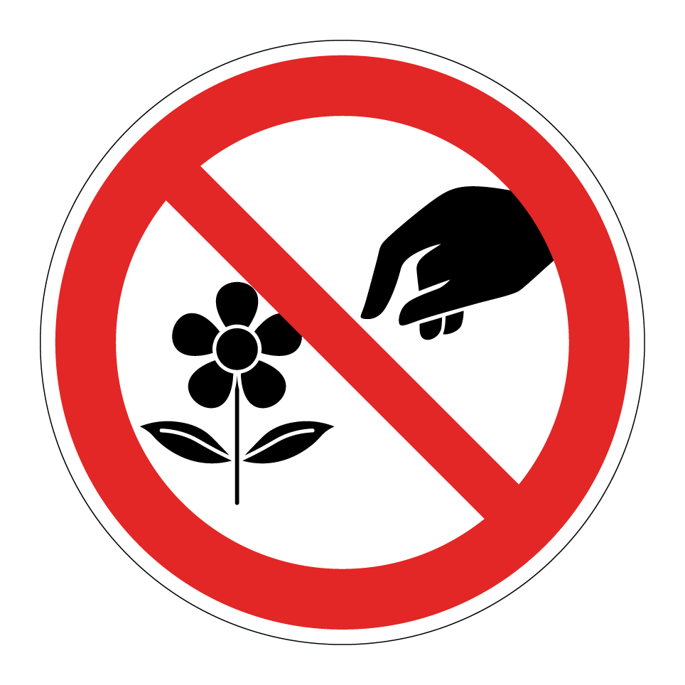 Ne pas cueillir de fleurs