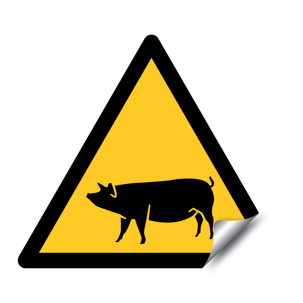 Cochon d'avertissement