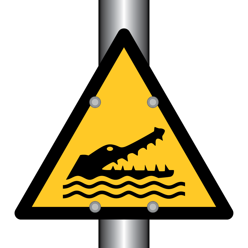 Attention crocodiles