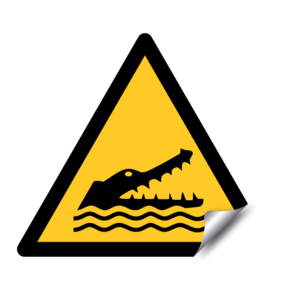 Attention crocodiles