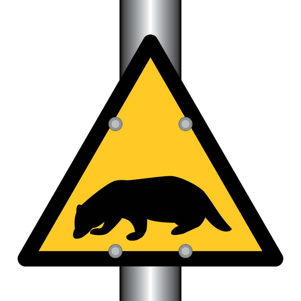 Warnungsdachs