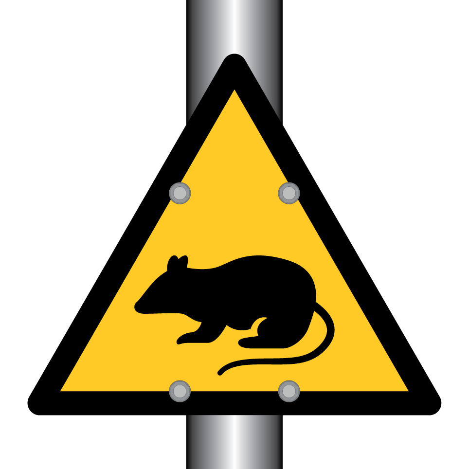 Warnratte