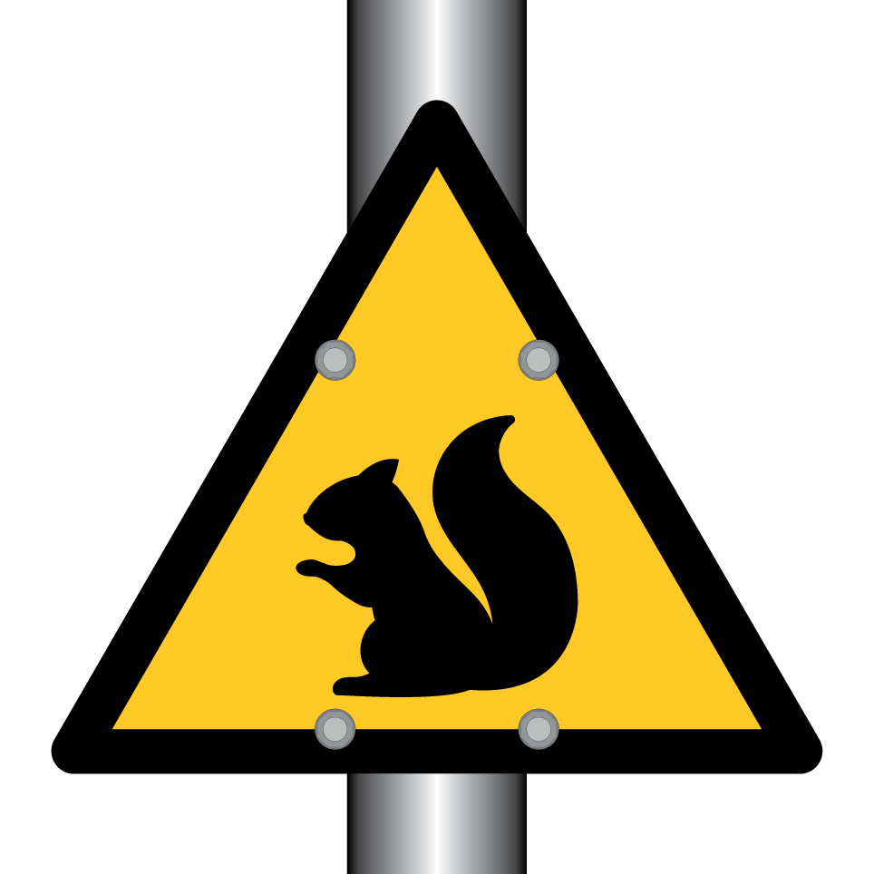 Warnhörnchen