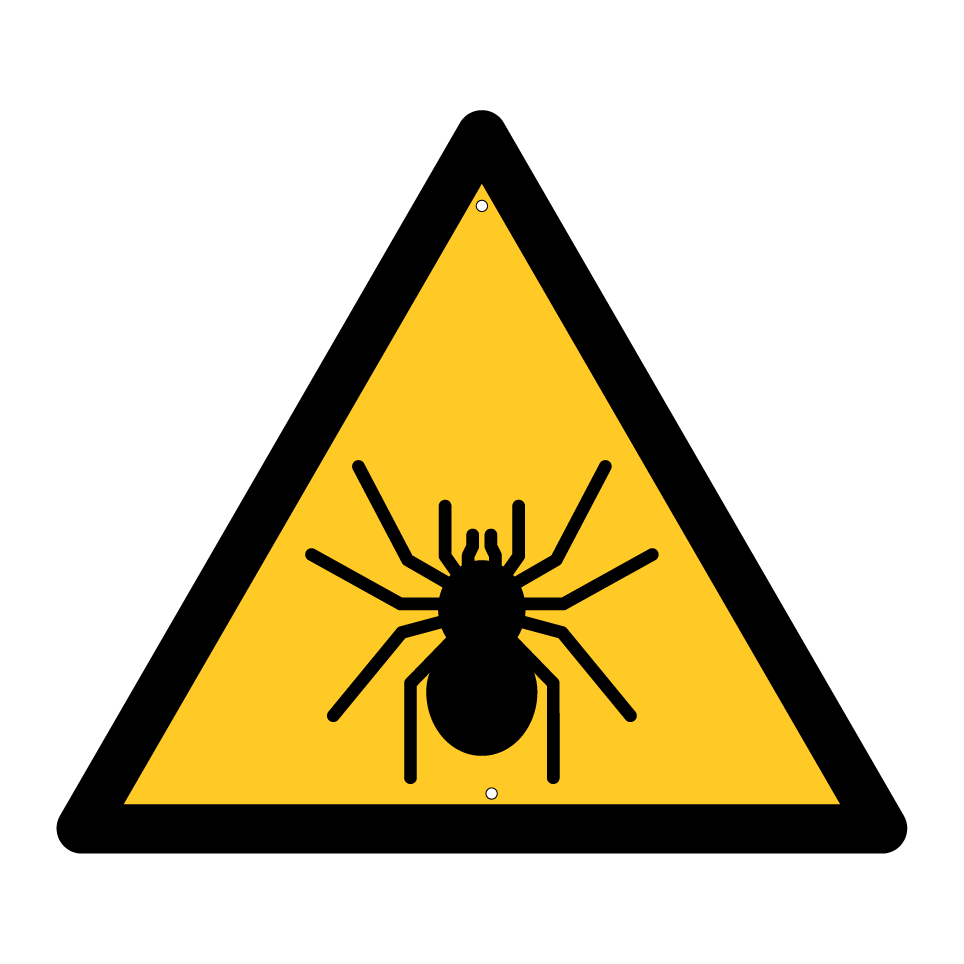 Warnspinne