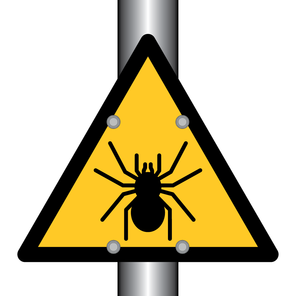 Warnspinne